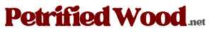 Petrified Wood Company Logo Petrified Wood Company Logo